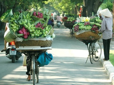 Good Morning Hanoi (Daily)